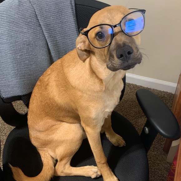 Meet your Posher, Mirka - Picture 6 of 7